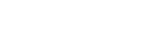 American Military News Logo